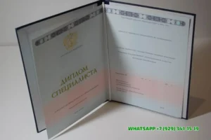 Купить диплом НГЛУ — Нижегородского Государственного Лингвистического Университета имени Н. А. Добролюбова в Люберцах